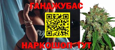 прущие грибы Пенза